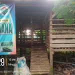 Dana BumDesa Jadi Sorotan, Pengurus Desa Perdana Saling Tuding soal Ternak Kambing