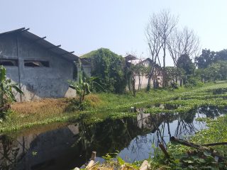Sungai Pringrejo Kerap Mengeluarkan Bau Menyengat, Diduga Tercemar Limbah Industri Batik