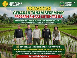 Gerakan Tanam Serentak Program PM AAS Sistem Tabela Digelar di Gabusan Jaya Rancalabuh