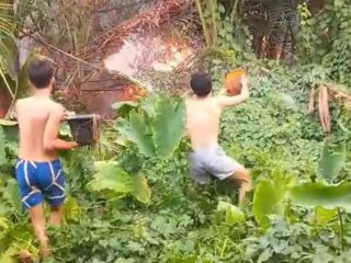 Kebakaran Lahan Gambut di Cikande Jayanti, Asap Pekat Selimuti Permukiman dan Picu Kepanikan Warga
