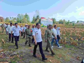 Dandim 1310/Bitung Hadiri Panen Raya Jagung Poktan Sehati, Perkuat Ketahanan Pangan di Minahasa Utara